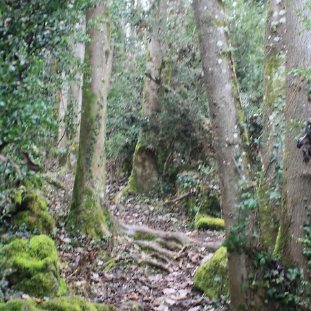 Semesterbostad Le Rocher Chouvigny