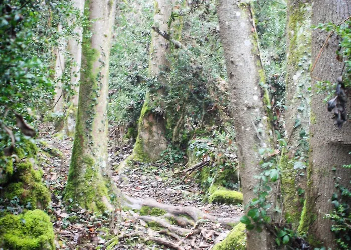 Le Rocher Casa de Férias Chouvigny